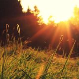 Hot Summer Nights #01 Funky & Jazzy House
