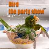 Bird Parties On