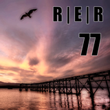 Reddit Electronic Roundup 77