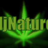 djNature 420 Mix