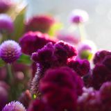 Spring beats