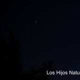 Los Hijos Naturales - Ensayos E Improvisaciones naturales -
