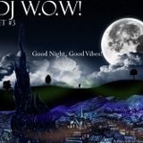 DJ W.O.W! - Set #3 (Good night, good vibes!) {2.009}