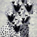Funk Machine: Trip #18