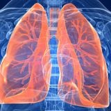 EsSalud: Causas y tratamiento para la fibrosis pulmonar