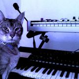 Slave to the Synths