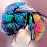 Dj Atman - Psychedelic Fly (mix) 2014_03_16