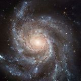 musique couture N°12 Dark Star