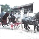 Carriage Ride in the Past (Original)