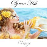 Dj van Hal Visezi