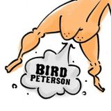 Dirtie Clouds #2 - Bird Peterson (Live from Austin, Texas)