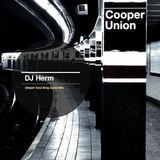 DJ Herm - DeeperSoul Blog (Guest Mix)