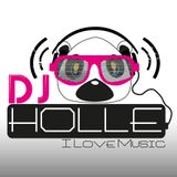 DJ HOLLE - Best of Festival 2K15