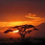 Rhythms and grooves from Africa Vol.1-Rhythm on Rhythm (22.2.2014)