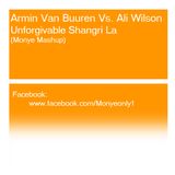 Armin Van Buuren Vs. Ali Wilson - Unforgivable Shangri La (Monye Mashup)
