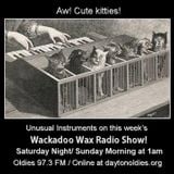 Wackadoo Wax Radio Show 46 with A. Ghastlee Ghoul and Comrade X Munson