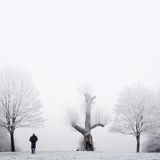 Winter Warmdown Mix