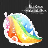 Life Cycle