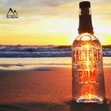 Melodic / Tropical House 2