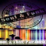 SOUL & FUNK ...SHOWTIME....LEt'S BOOGIE NOW....by Abdel Grooves ( only rare tracks)