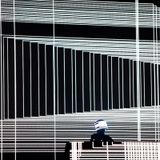 Consult8tion #010 | Minimal Techno | Max Cooper Special