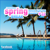 Yankee's House & Electro MashUp #11 (Springbreak Mix) (2013)