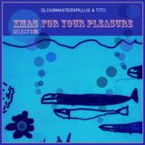 XMAS SELECTION FOR YOUR PLEASURE - Dj.DubMasterSpillus & Tito