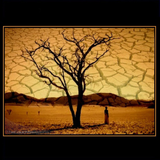 Roots
