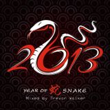 YEAR OF THE SNAKE - Mixed by Trevor Walker