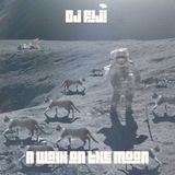 DJ FIJI - A WALK ON THE MOON