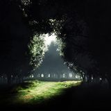 DJ Rinaneko - Dark to Light 2011