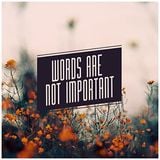 Words are not Important
