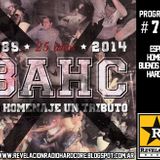 REVELACION RADIO HARDCORE Nº 75 (25 AÑOS DE BS AS HARDCORE)
