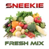 DJ SNEEKIE - FRESH vol 1