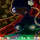 Miss Selectra Mix 2012