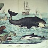 Phantom Circuit #86 (15th Nov. 2011): dirty daydreams and cetacean sounds