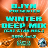 Djyn - Winter Deep Mix 2014 (Cat Star Rec.vol.3)