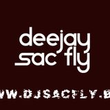 DJ Sac Fly - Dancehall Again