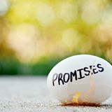 Professional - Broken promises - 2015