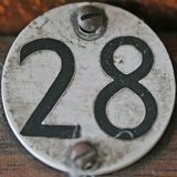 Dam28 mix