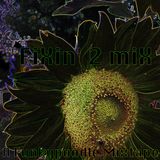 Fixin' 2 Mix (a Funkypoodle mixtape)