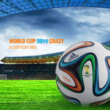 Copycat - World Cup 2014 Crazy