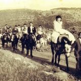 Αμυγδαλοτσακίσματα 2.8.15