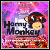 Back From Tomorrow - Fourth Set' Electric Summer - October 2013 - mixed by Horny Monkey