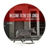 Welcome To The City Jungle mixtape - compiled and mixed by Daniel Stetting