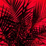 Haunted Dancehall - Vibes&Stuff