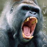 FTL - SILVERBACK