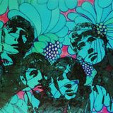 Yellow Matter Custard: twenty slabs of Beatles-inspired madness