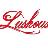 RedBull DJ Competition (4-20-2012) - Lushous