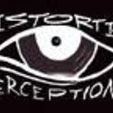 Tsetso Tsvetanov- Distorted Perceptions